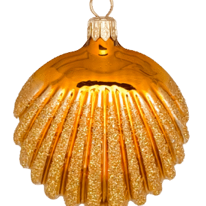 import placeholder for 3155